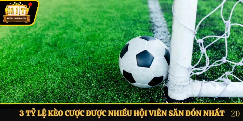 Thể Thao Hitclub 3 3 tỷ lệ kèo cược được nhiều hội viên săn đón nhất