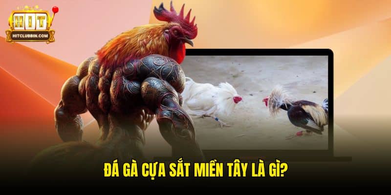 Hướng Dẫn Cách Đá Gà Cựa Sắt Miền Tây Tại Nhà Cái Hitclub 5 Đá gà cựa sắt miền Tây là gì?