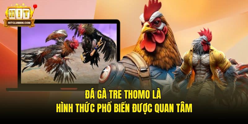 Đá Gà Tre Thomo - Tận Hưởng Trọn Vẹn Từng Phút Giây 5 Đá gà tre Thomo là hình thức phổ biến được quan tâm