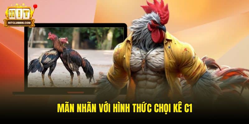 Mãn nhãn với hình thức chọi kê C1
