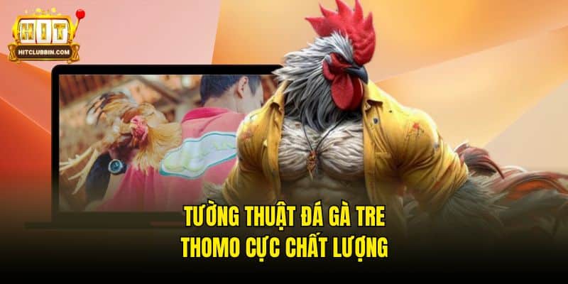 Đá Gà Tre Thomo - Tận Hưởng Trọn Vẹn Từng Phút Giây 7 Tường thuật đá gà tre Thomo cực chất lượng