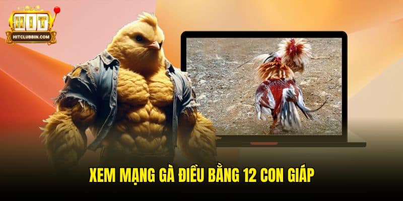 Chia Sẻ Người Chơi Cách Xem Gà Điều Thuộc Mạng Gì? 7 Xem mạng gà điều bằng 12 con giáp