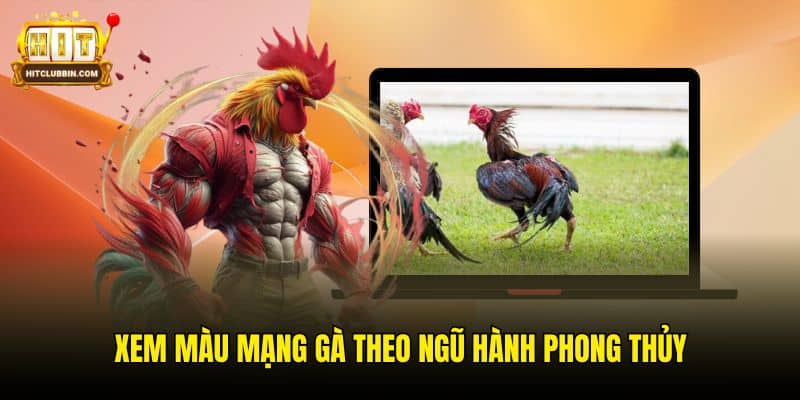 Chia Sẻ Người Chơi Cách Xem Gà Điều Thuộc Mạng Gì? 6 Xem màu mạng gà theo ngũ hành phong thủy